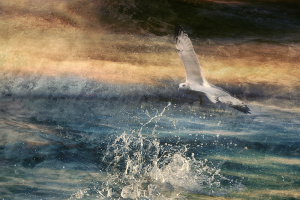 Diane CHESNEL - Éclaboussure