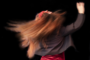 HUBERT DUGAST - La garce en mouvement