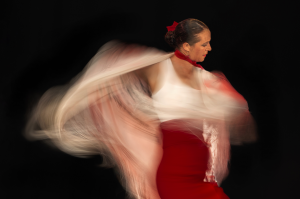 HUBERT DUGAST - L'éclat de la danse