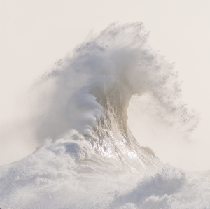 Pauline HORELLOU - l'élue
