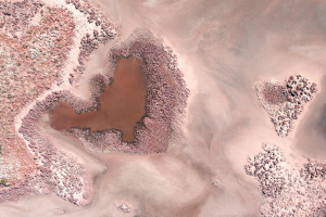 Claudine COUPÉ - Aimer notre Terre-Mère