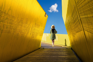 Annie DORIOZ - Soleil