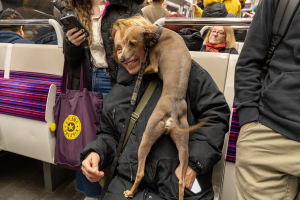 Sébastien DURAND - Osmose