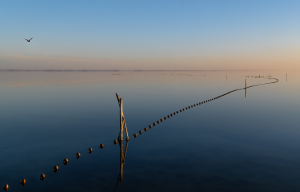 KATIA ANTONOFF - Zénitude