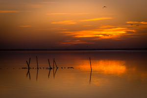 KATIA ANTONOFF - Magie