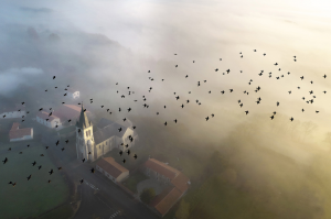 Christian THIBAUD - D'un bruissement d'elles, s'enivrer ...