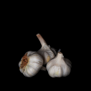 Martine COCQUEREZ - Histoire d'aulx (1)