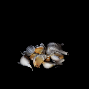 Martine COCQUEREZ - Histoire d'aulx (2)