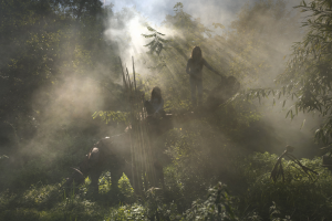 Alain LABOILE - Primitives