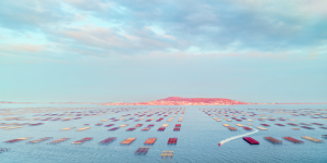 Yvon HAZE - Fin de journée sur Thau