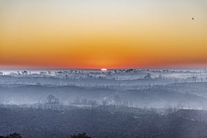 Philippe ROUSSEL - Resilience