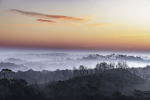 Philippe ROUSSEL - Aprés le feu
