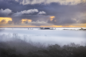 Philippe ROUSSEL - Une ile