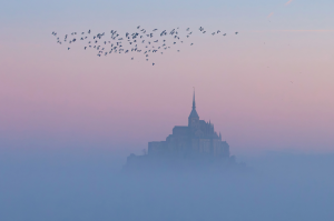 laetitia GUICHARD - Le Mont dans la brume rosée