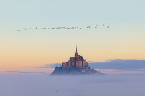 laetitia GUICHARD - L'envolée sauvage